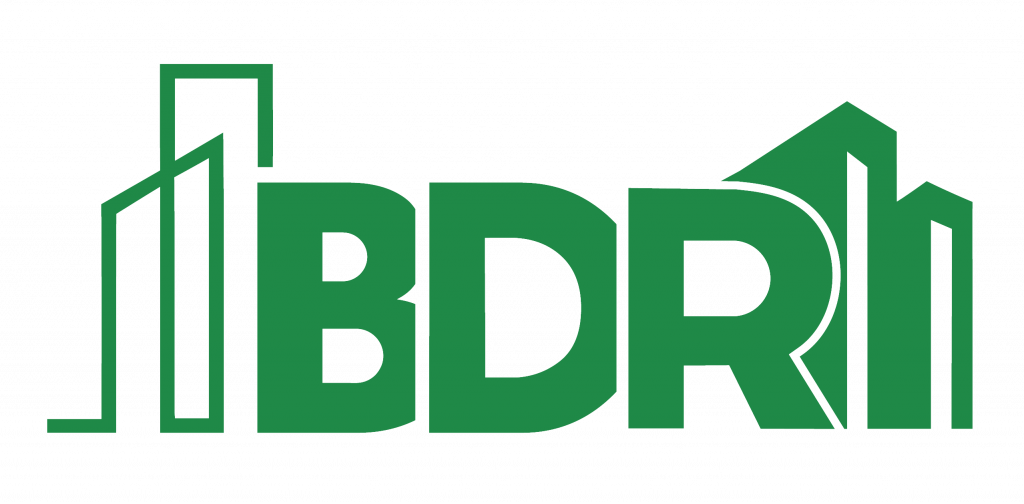 Building Diagnostic Robotics Logo