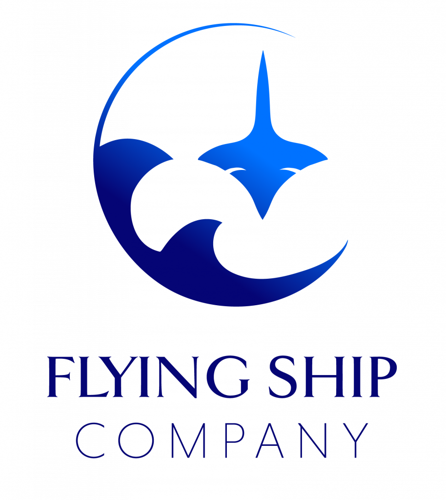 Flying ship logo